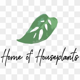 Images - House And Plant Logo, HD Png Download - indoor plants top view png