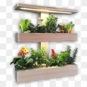 Edn Wallgarden - Indoor Wall Garden With Grow Lights, HD Png Download - indoor plants top view png