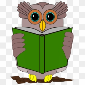 Owl,vertebrate,bird - Book Review Clip Art, HD Png Download - bird png image