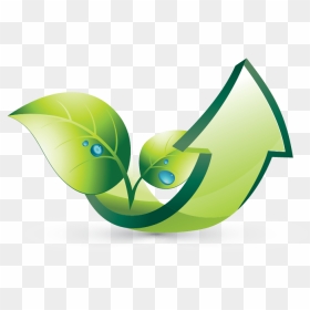 Logo Design Transparent Leaf, HD Png Download - green leaf design png