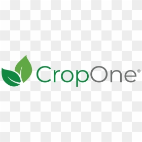 Crop One Grows Food Hydroponically With Unique Formulas, HD Png Download - indoor plants top view png