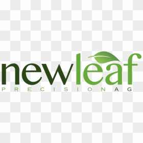Green Leaf Design Png, Transparent Png - green leaf design png