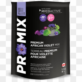 Pro-mix African Violet Mix - Graphic Design, HD Png Download - indoor plants top view png