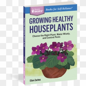 Cover - Growing Healthy Houseplants Book, HD Png Download - indoor plants top view png