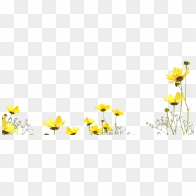 Free Flower Photo Overlay, Photoshop Overlays From - Photoshop Overlay Images Png, Transparent Png - png text effects for photoshop free download