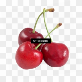 Fruits Transparent Cherry - Sweet Cherry Pie Cherry, HD Png Download - fruits background png