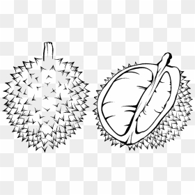 Thumb Image - Durian Black And White, HD Png Download - mango clipart png