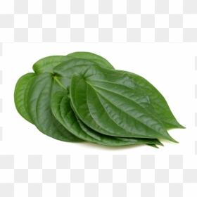 Betel Leaf, HD Png Download - paan leaf png