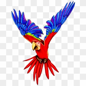 Flying Parrot Png Pic - Parrot Clipart Transparent Background, Png Download - indian parrot png