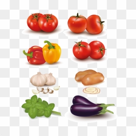 Vegetables Diagram, HD Png Download - fruits background png