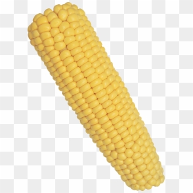 Corn - Corn On The Cob Png, Transparent Png - sweet corn png