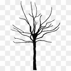 Bare Branch Png - Tree Trunk Silhouette Png, Transparent Png - tree stem png