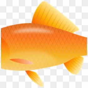 Balloon Hatenylo Com The - Fish Clipart And Transparent Background, HD Png Download - real fish png