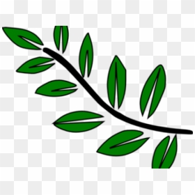 Transparent Plant Stem Png - Tree Branch With Leaves Clipart, Png Download - tree stem png
