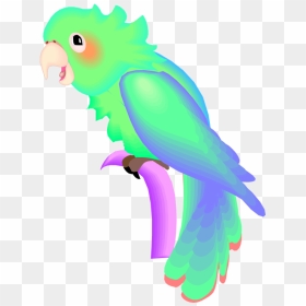 Parrot, Png Download - Parrots, Transparent Png - indian parrot png