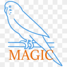 Parakeet Magic Parakeet Magic - Parrot, HD Png Download - indian parrot png