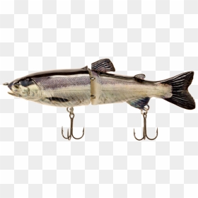 Rf Glider 70 Kokanee - Transparent Fishing Lure Png, Png Download - real fish png