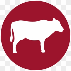 Halo Uses Only Real Whole Meat, Poultry, Or Fish, And - No Red Meat Icon, HD Png Download - real fish png