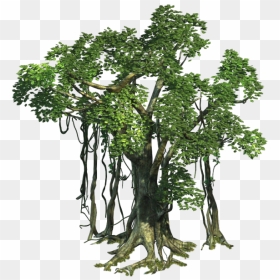 Realistic Tree Free Png Image - Jungle Trees Png Transparent, Png Download - tree stem png