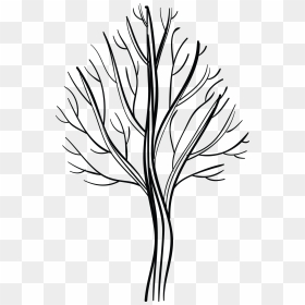 Line Art, HD Png Download - tree stem png