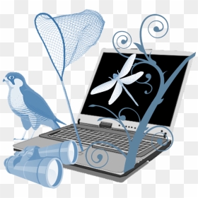Blog Cutout - Netbook, HD Png Download - indian parrot png