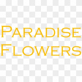 Orange, HD Png Download - birthday flowers png