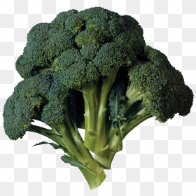 Green Broccoli Png Transparent Image - Green Flower Vegetable Name, Png Download - green vegetables png