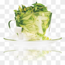 Investigatory Project Caffeine In Tea, HD Png Download - green tea cup png
