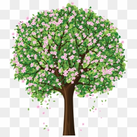 Spring Tree Png Clipart - Tree With Flower Drawing, Transparent Png - flower tree png images