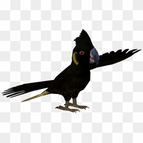 Parrot, HD Png Download - indian parrot png