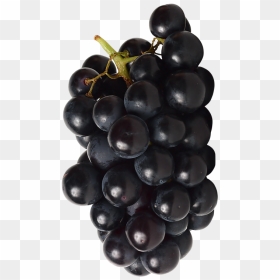 Red And Black Grapes - Seedless Fruit, HD Png Download - black grapes png