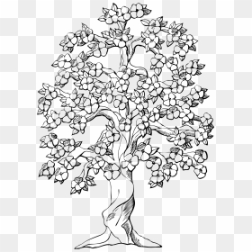 Flowering Tree Clip Arts - Drawings Of Trees With Flowers, HD Png Download - flower tree png images