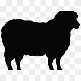Sheep Silhouette Png, Transparent Png - indian sheep png