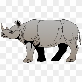 Rhinoceros Clipart, HD Png Download - indian sheep png