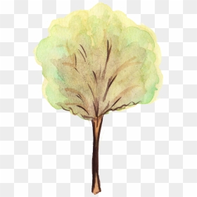 Flower Trees Png - Watercolor Tree Transparent Background, Png Download - flower tree png images