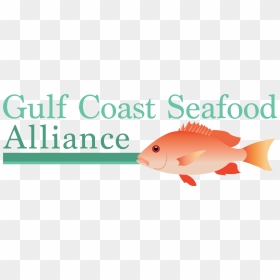 Thank You For Your Interest In The Gulf Coast Seafood - University Of West Florida, HD Png Download - real fish png