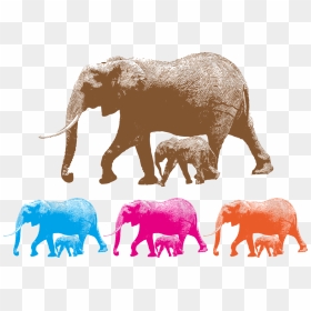 Elephant With Cub Scenic Wallpaper Animals Elephant, HD Png Download - indian sheep png