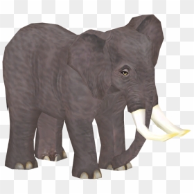 Indian Elephant, HD Png Download - kerala elephant png