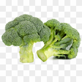 Broccoli, HD Png Download - green vegetables png
