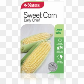Sweet Corn Early Chief - Yates Sweet Corn, HD Png Download - sweet corn png