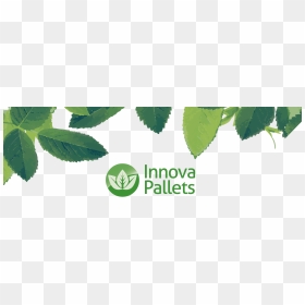 Slippery Elm, HD Png Download - innova png images