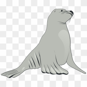 Sea Lion Clipart, Png Download - Clipart Sea Lion, Transparent Png - angry lion png images
