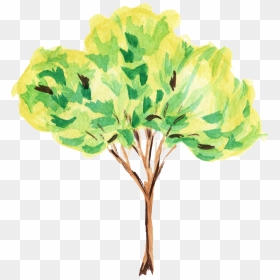 Watercolor Tree Transparent Background, HD Png Download - flower tree png images