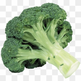 Broccoli Transparent Background, HD Png Download - green vegetables png