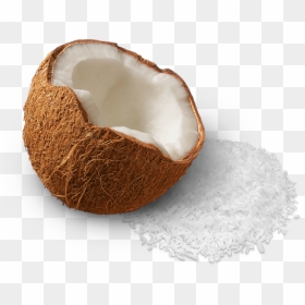 Coconut Png, Transparent Png - chocobar ice cream png