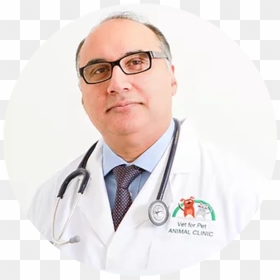 Royal Bahrain Hospital Doctors List , Png Download - Jabłoński Chirurg Dziecięcy Łódź, Transparent Png - doctors images png