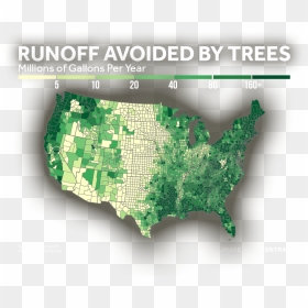 Map, HD Png Download - trees elevation png