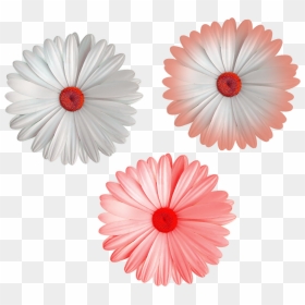 Cool Flower Png File White Color Mix Colors Flowers - Portable Network Graphics, Transparent Png - flower png file