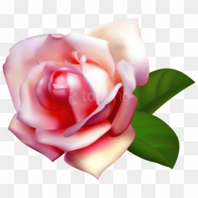 Transparent Garden Clipart Background - Transparent Background Rose Pink, HD Png Download - pink rose flower png