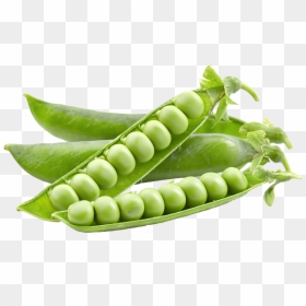 Pea Png - Chicharos En Ingles, Transparent Png - green vegetables png